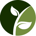 Evergreen Shrub Pruning Pros