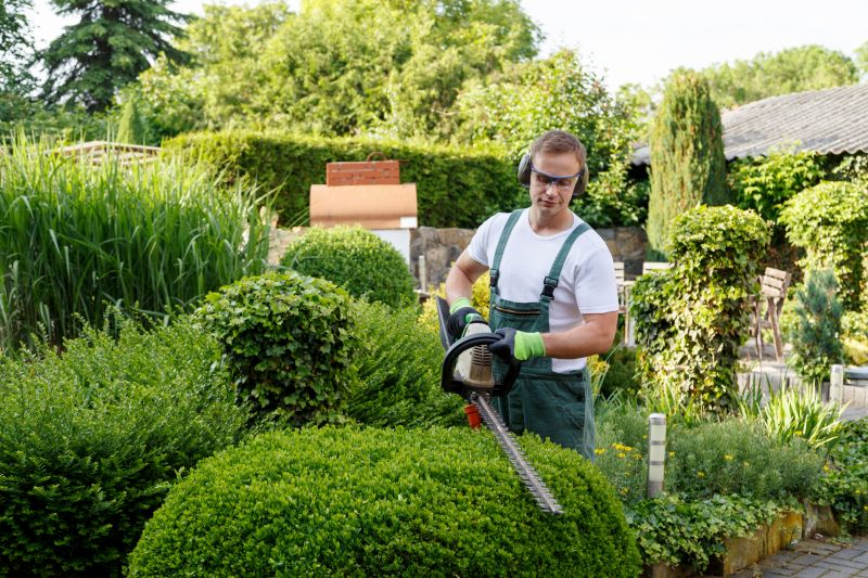 Evergreen Shrub Pruning