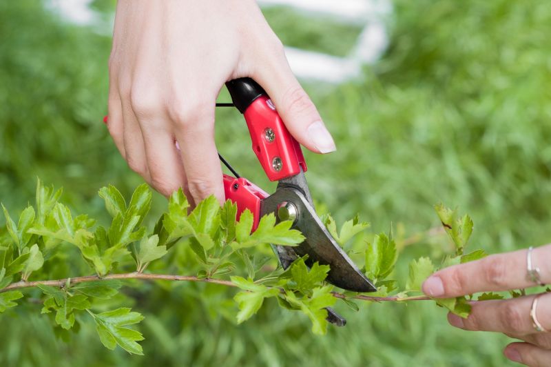 Close-up of Trimming Shears