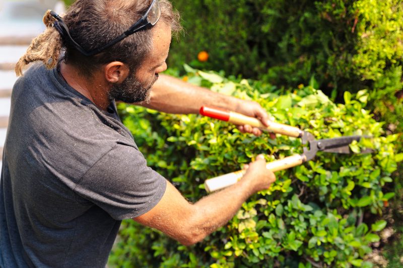 Landscaper Using Pruning Shears