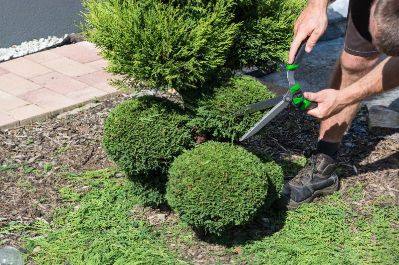 Contact About Evergreen Shrub Pruning